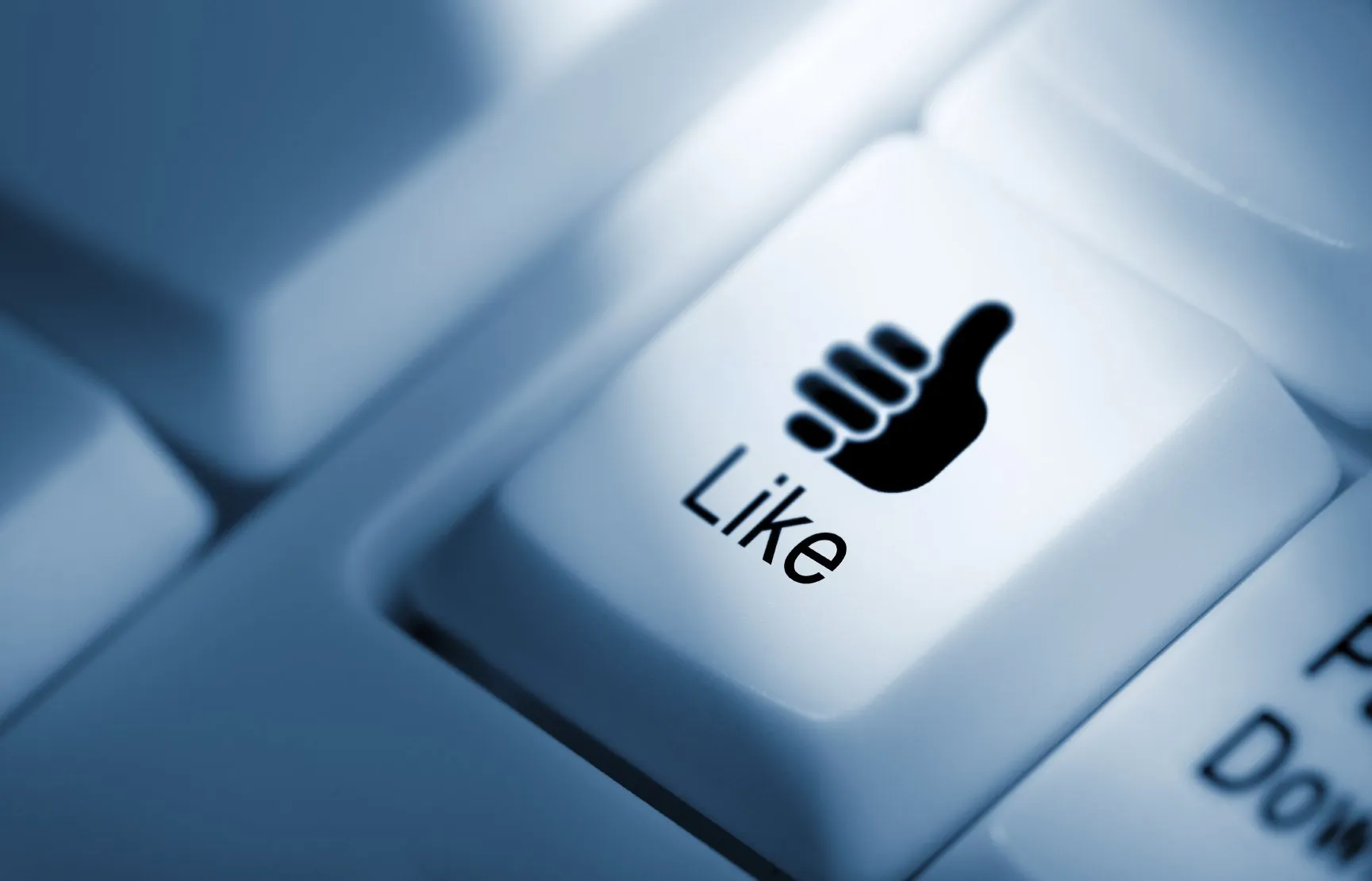 Do you find yourself asking if you should boost a post? Or create an ad on Facebook?