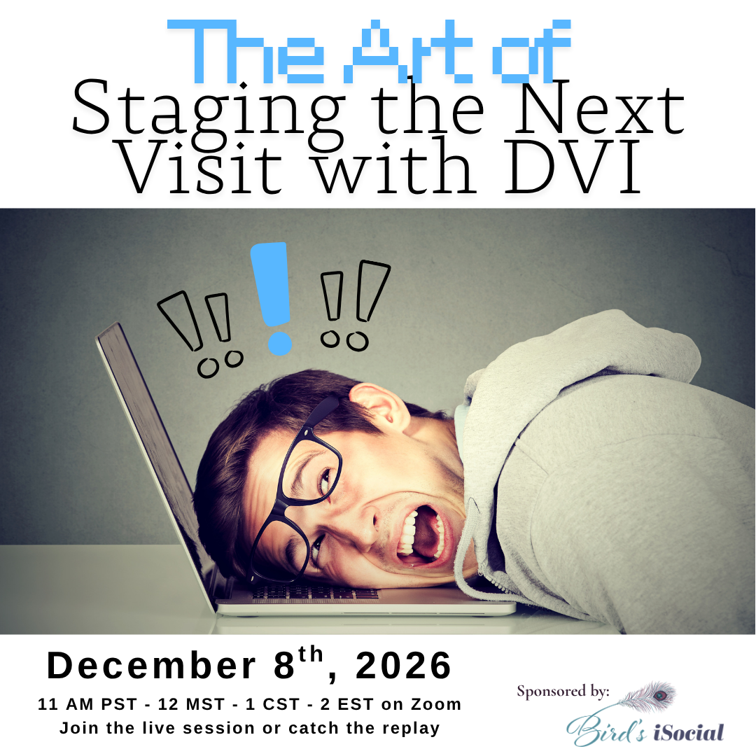 The Art of Staging the Next Visit with DVI